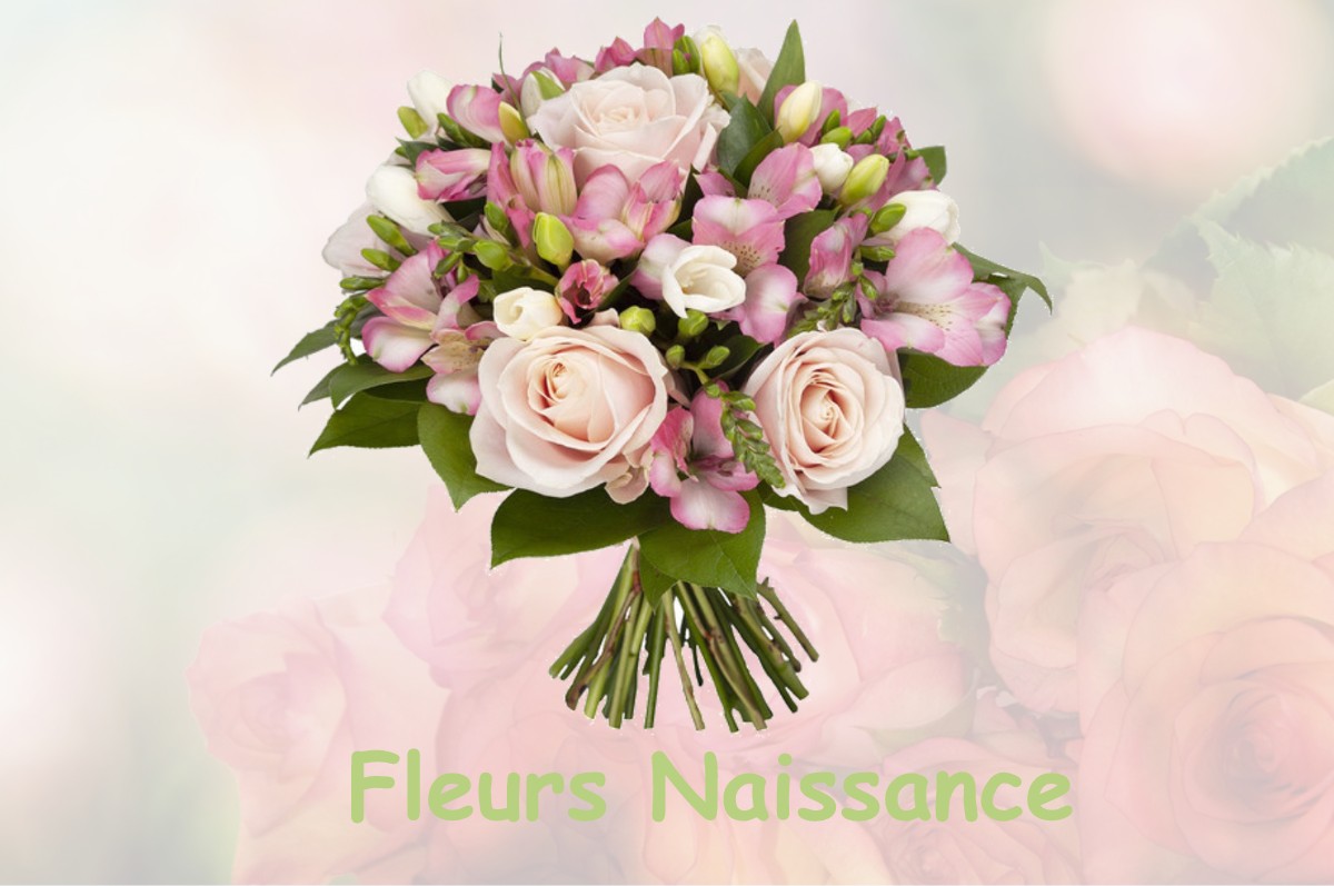 fleurs naissance LE-PLESSIS-HEBERT