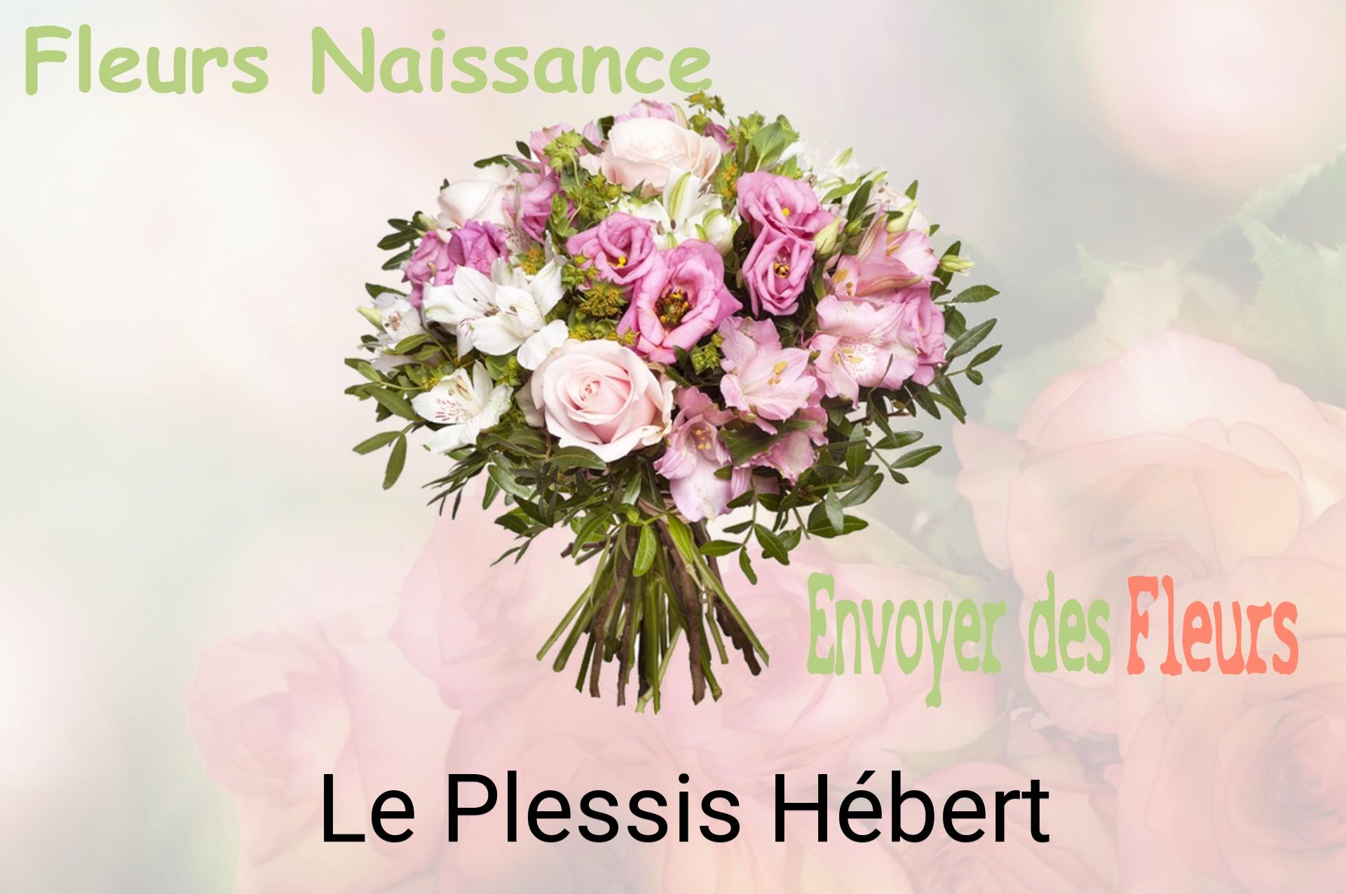 Bouquet de fleurs de naissance livré à Le Plessis-Hébert