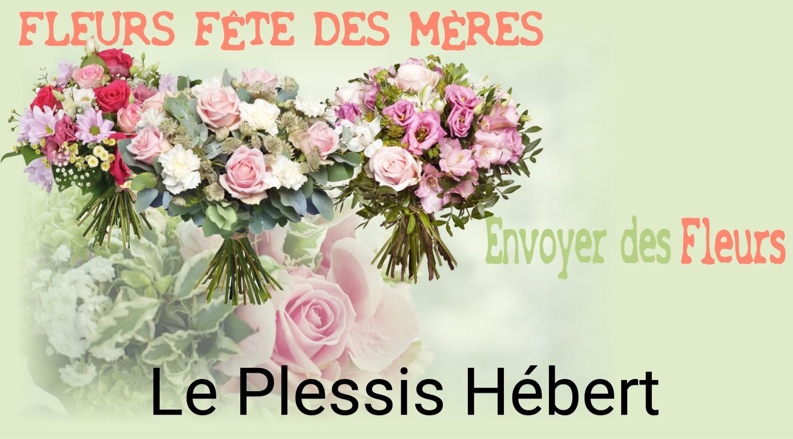 Bouquet de Fête des Mères livré à Le Plessis-Hébert